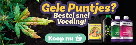 Koop nu wietvoeding en voorkom gele puntjes!