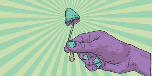 Van Leary tot Hofmann: Sleutelfiguren in de Psychedelics