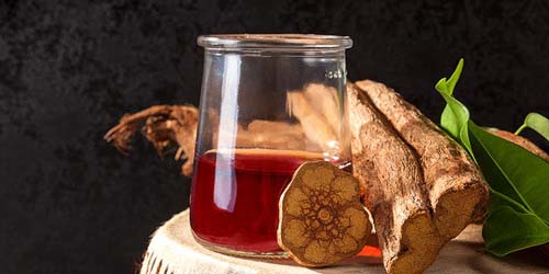 Banisteriopsis Caapi - De Plant van de Sjamanen