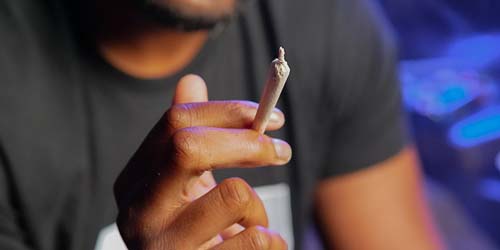 De 10 Beste Wietsoorten voor Hasj