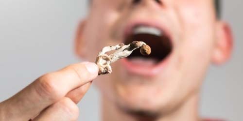 Eerste Paddo Trip Checklist: Over Effecten & Gebruik