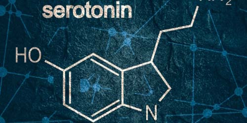 Serotonine Tekort? L-Tryptofaan of 5-HTP tegen een Drugs Dip
