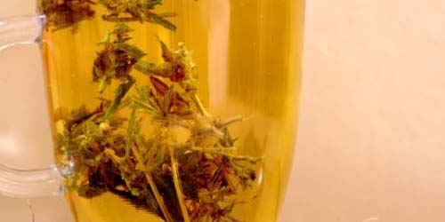 Eenvoudig en Snel Wiet Thee Maken